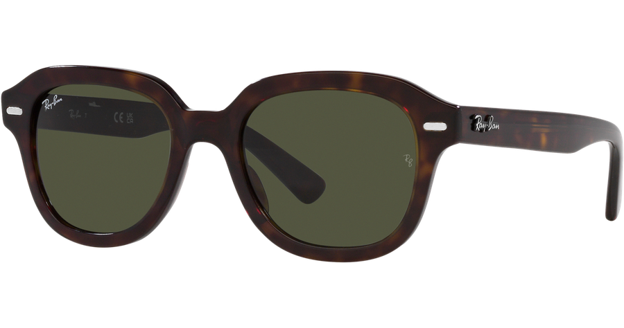 Ray-Ban Sonnenbrille Unisex Ray-Ban Erik RB4398 902/31 Ansicht 1