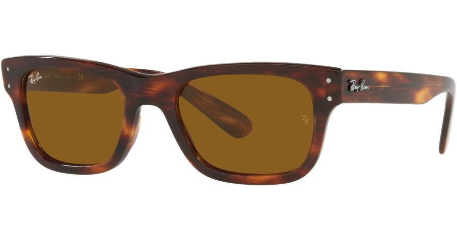 Ray-Ban Sonnenbrille Herren Ray-Ban Burbank RB2283 954/33 Ansicht 1