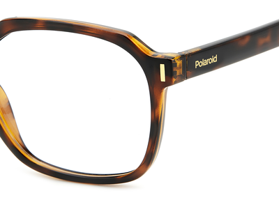 Polaroid Brille Unisex Polaroid PLD D482 53 havanna Ansicht 3