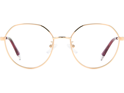 Polaroid Brille Damen Polaroid PLD D490/G 52 GOLD COPPER Ansicht 2