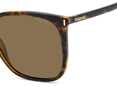 Polaroid Sonnenbrille Damen Polaroid PLD 6218/S 56 havanna Ansicht 3